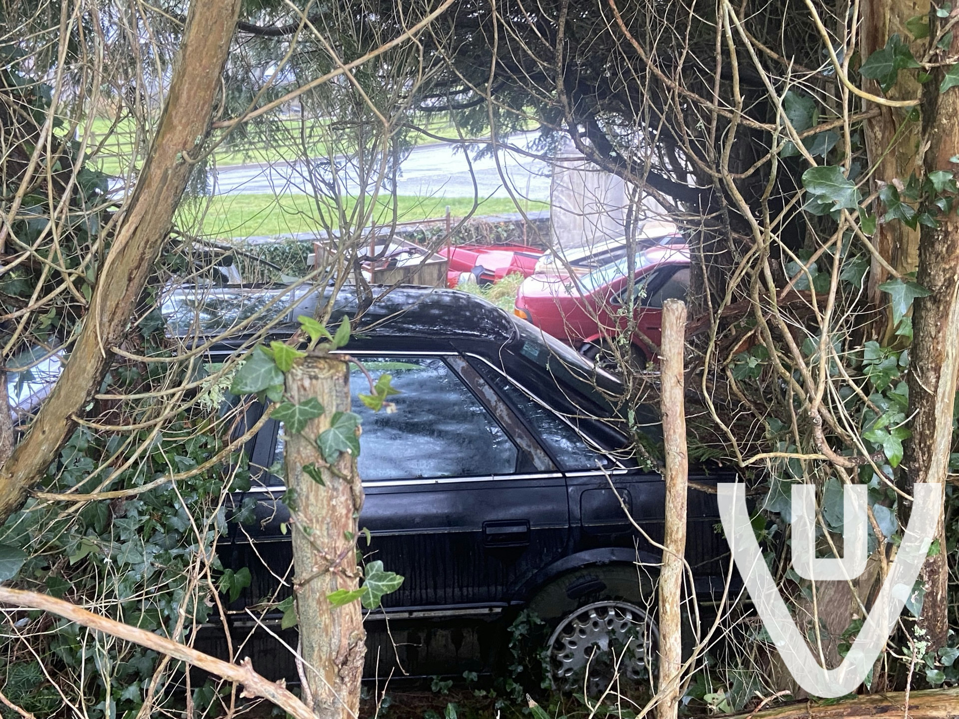 Location report evidence