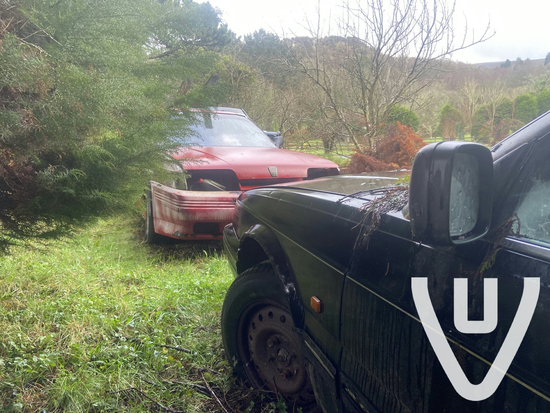 Location report evidence