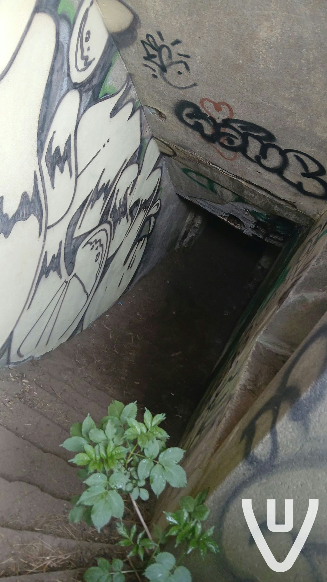 Bunkerstreet