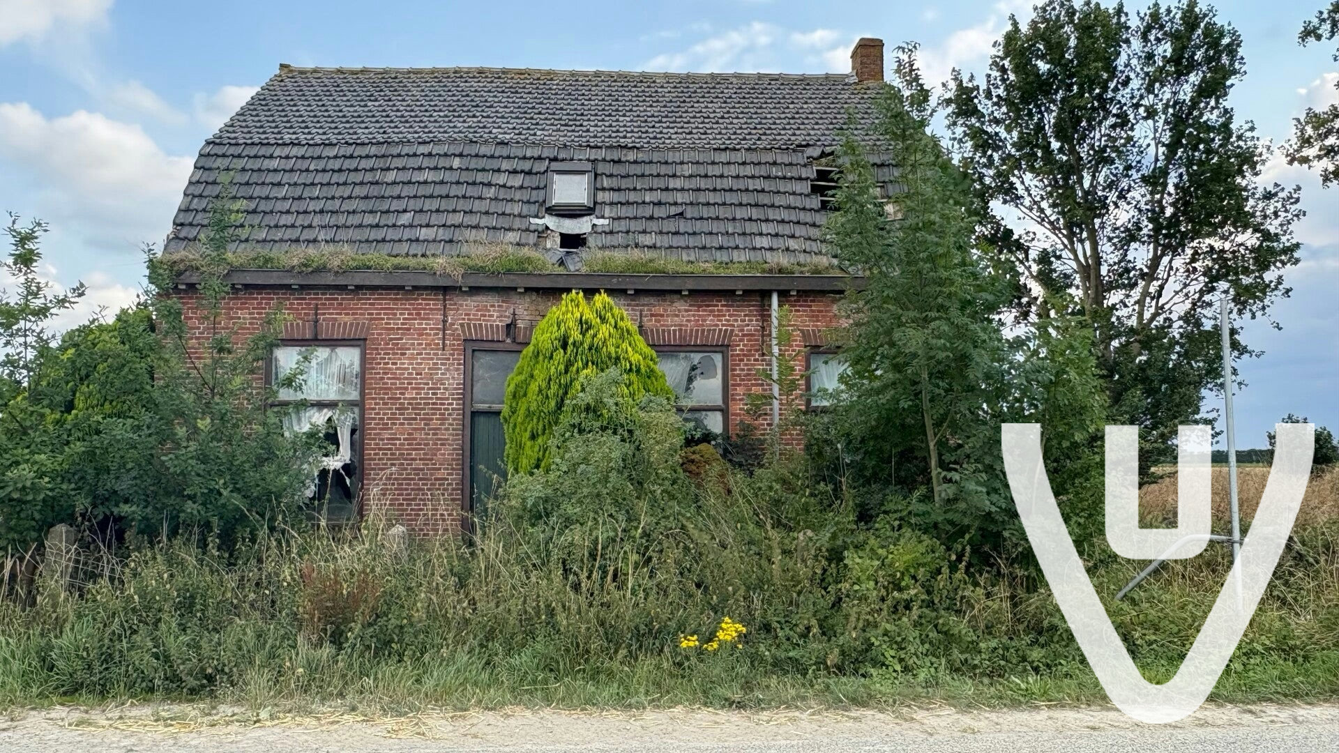 Community photo of Huize Aard in Netherlands by Dutch Hunting NL - Photo 12