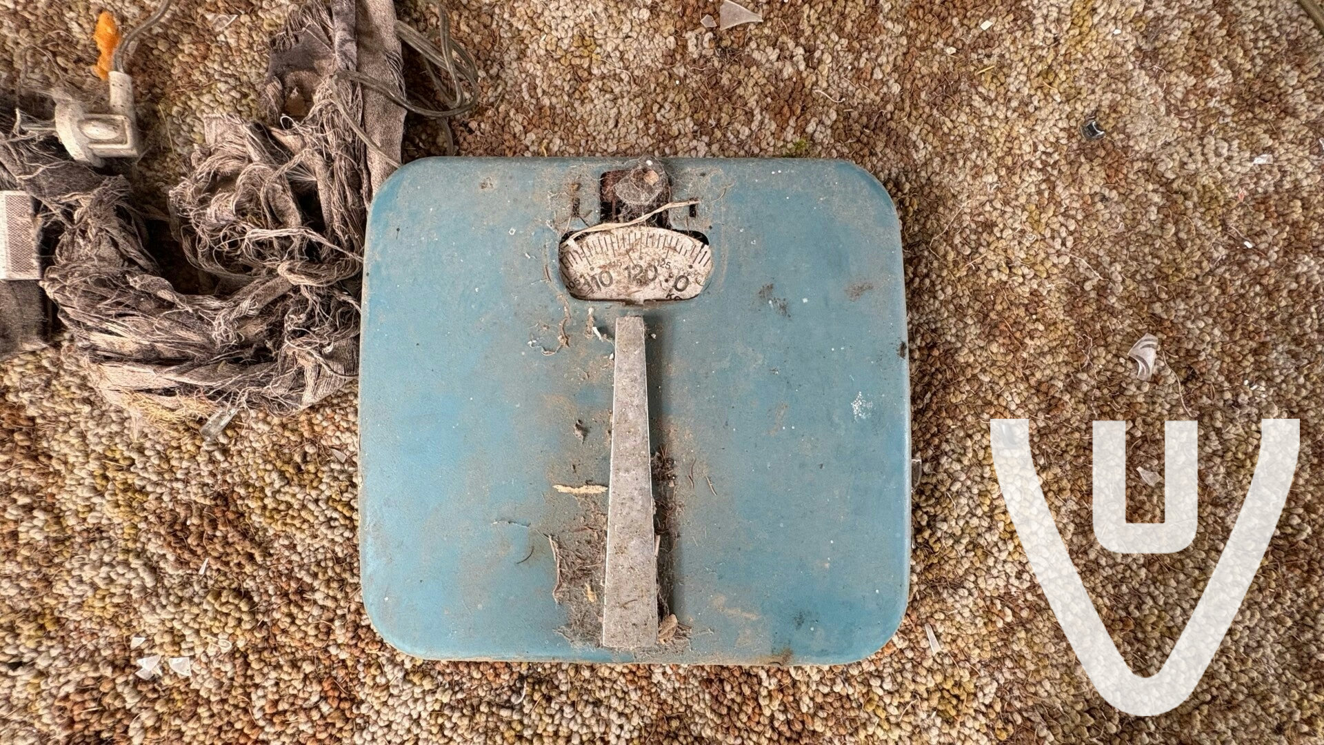 Community photo of Huize Aard in Netherlands by Dutch Hunting NL - Photo 2