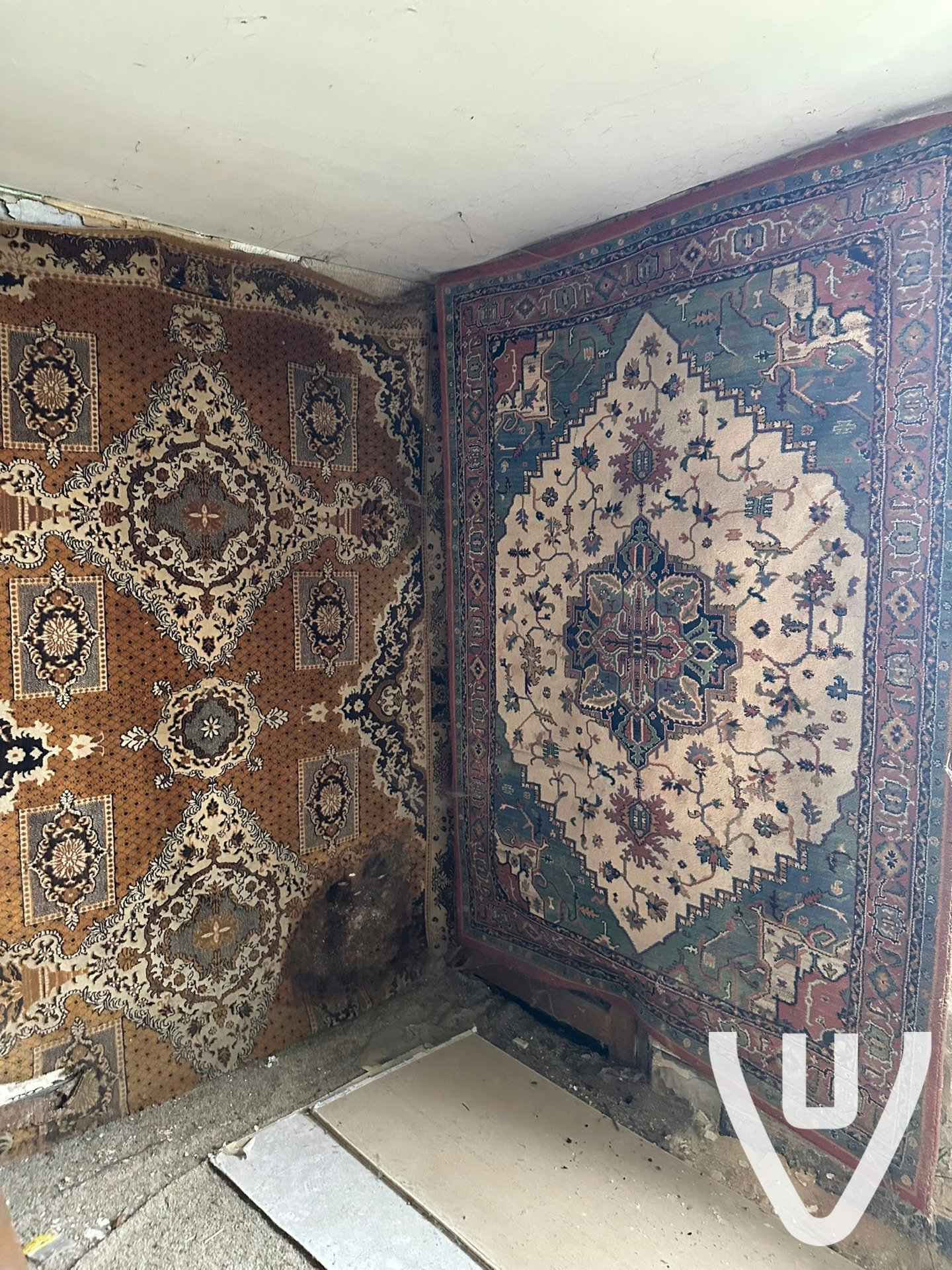 Community photo of Maison Carpetwall in Belgium by anonymous contributor - Photo 7