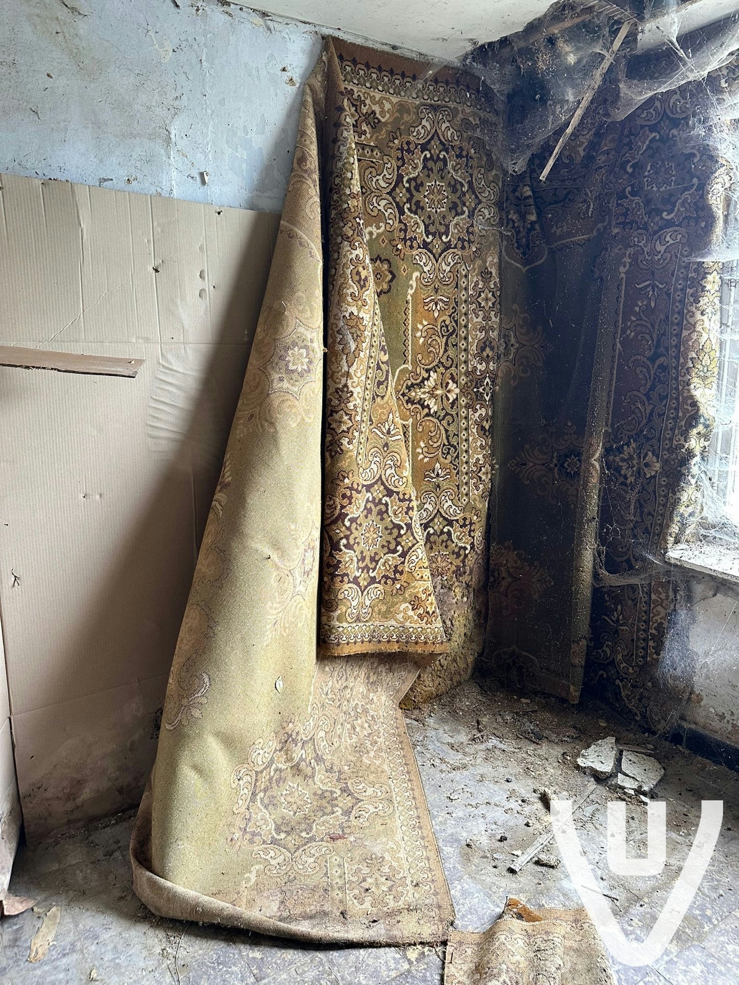 Community photo of Maison Carpetwall in Belgium by anonymous contributor - Photo 2