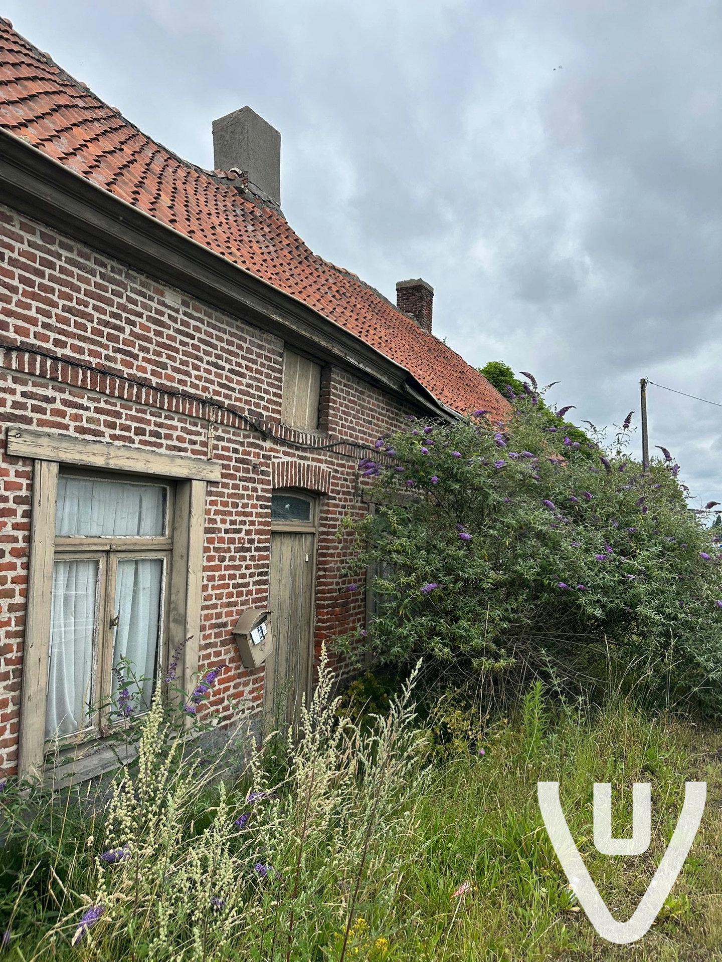 Community photo of Maison Carpetwall in Belgium by anonymous contributor - Photo 3