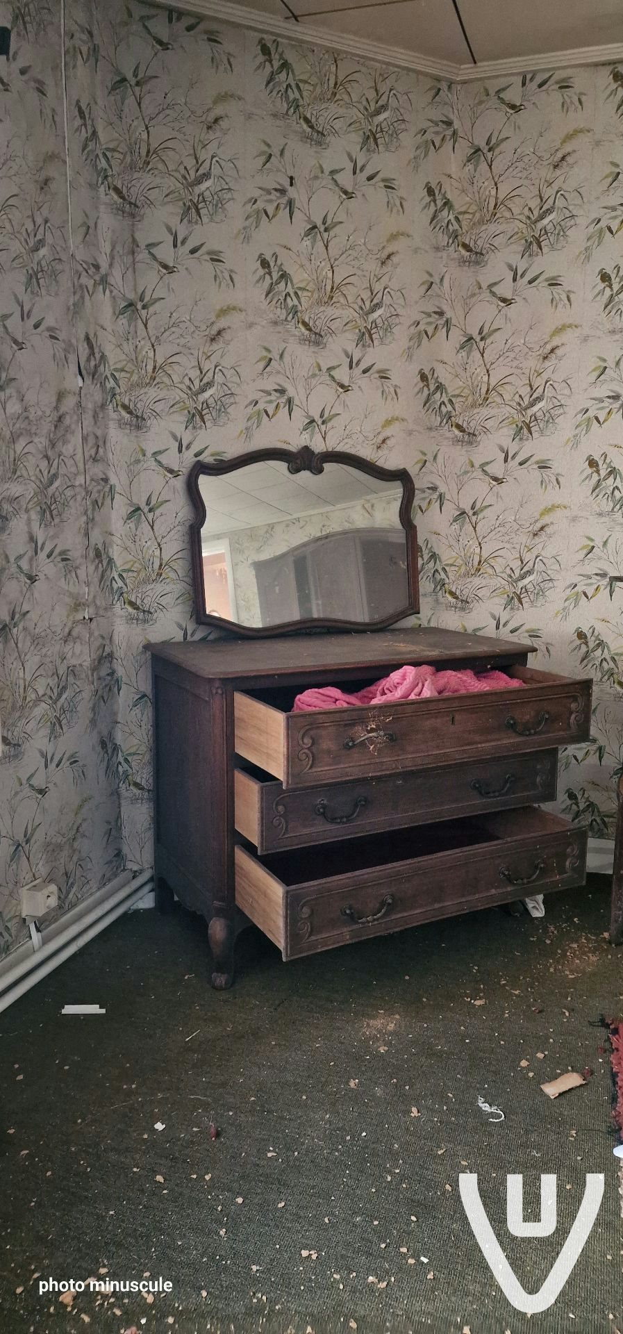 Community photo of Maison Plaisir in Belgium by Photo_Miniscule - Photo 3