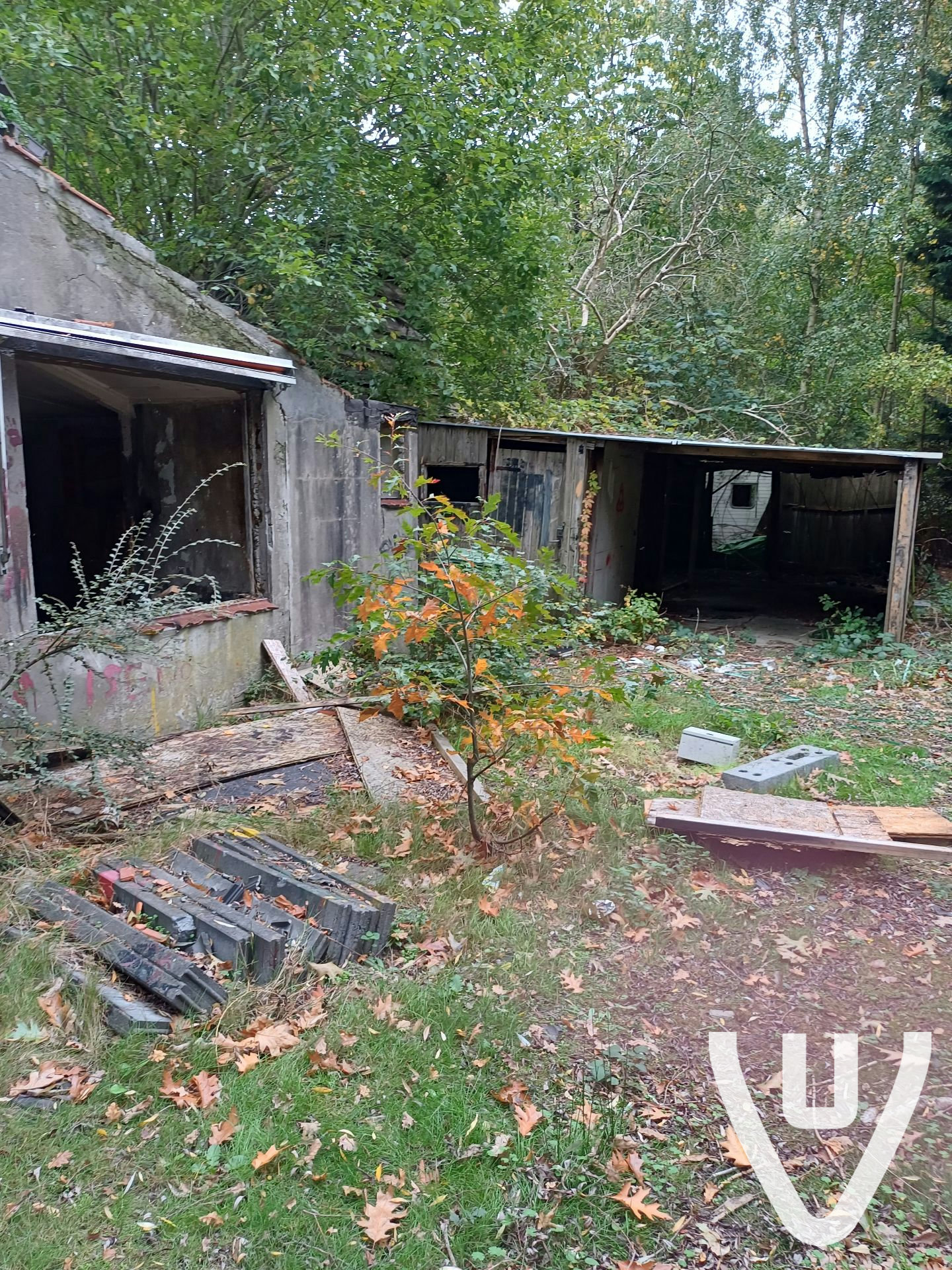 Location report evidence