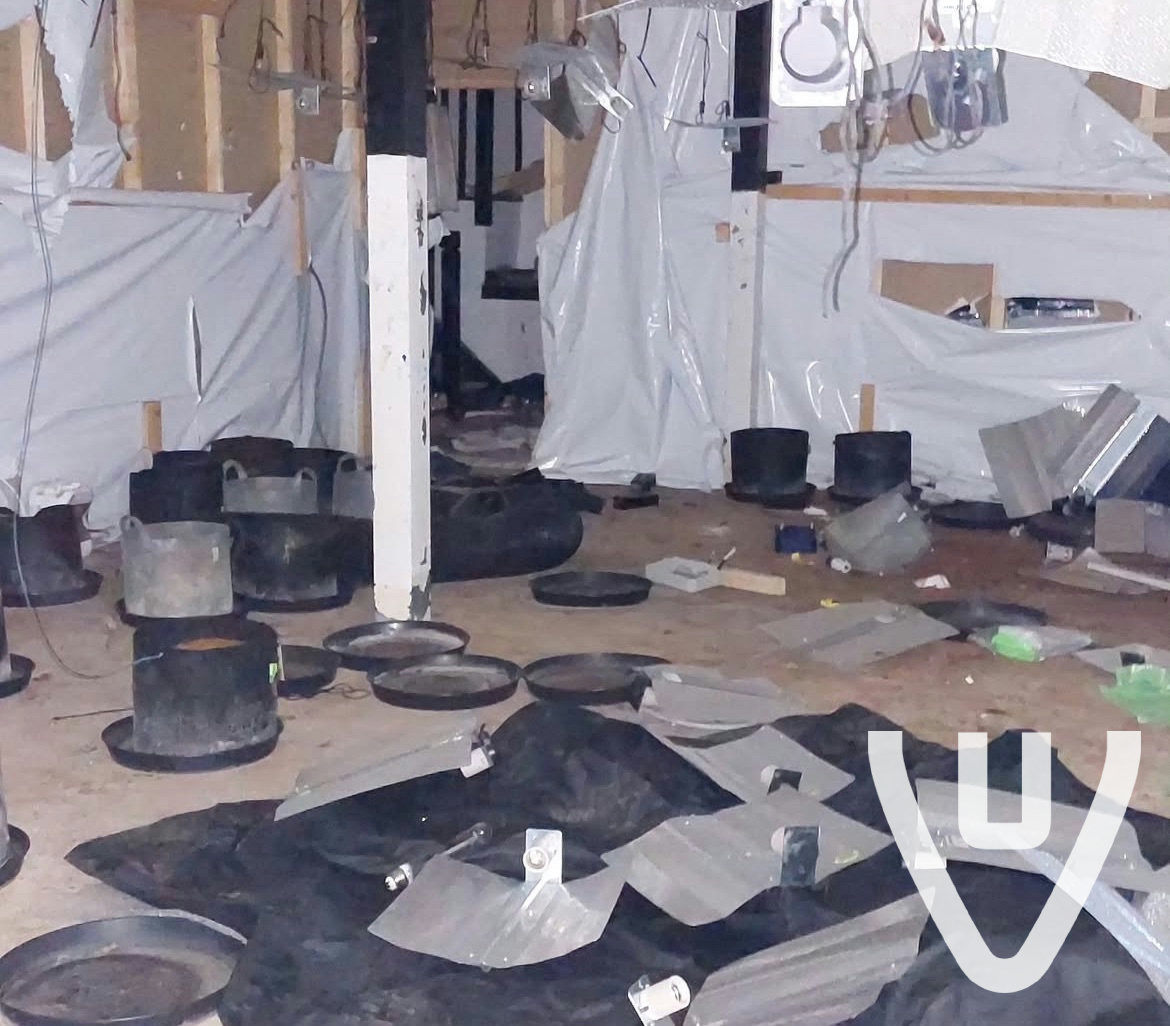 The Majestic Cinema / Haunted Museum