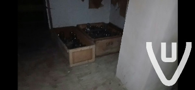Dairy Farm