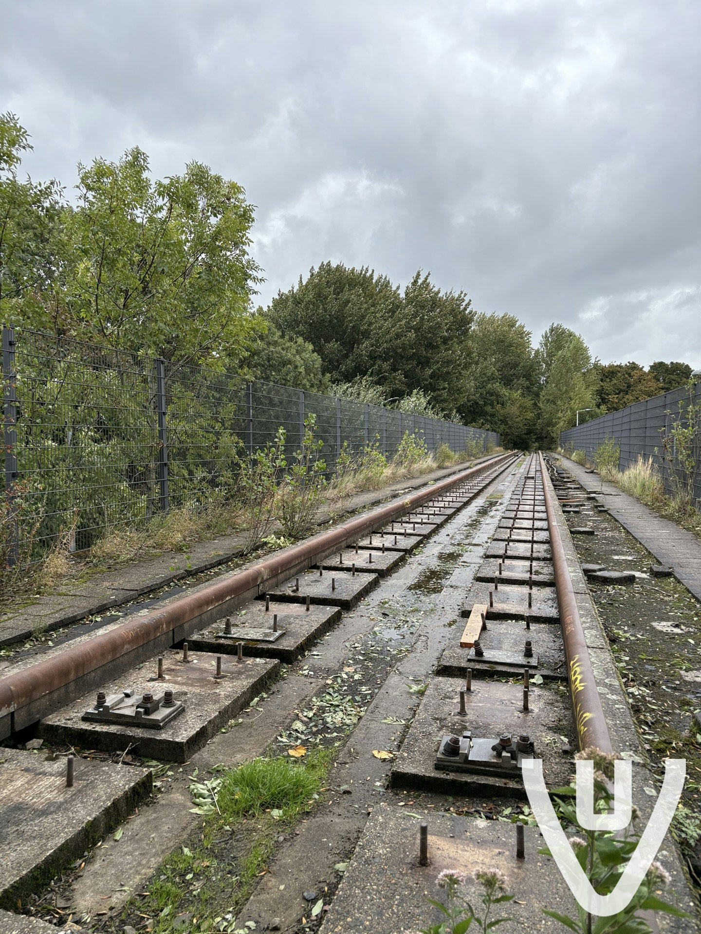 The Forgotten Spartan Bridge