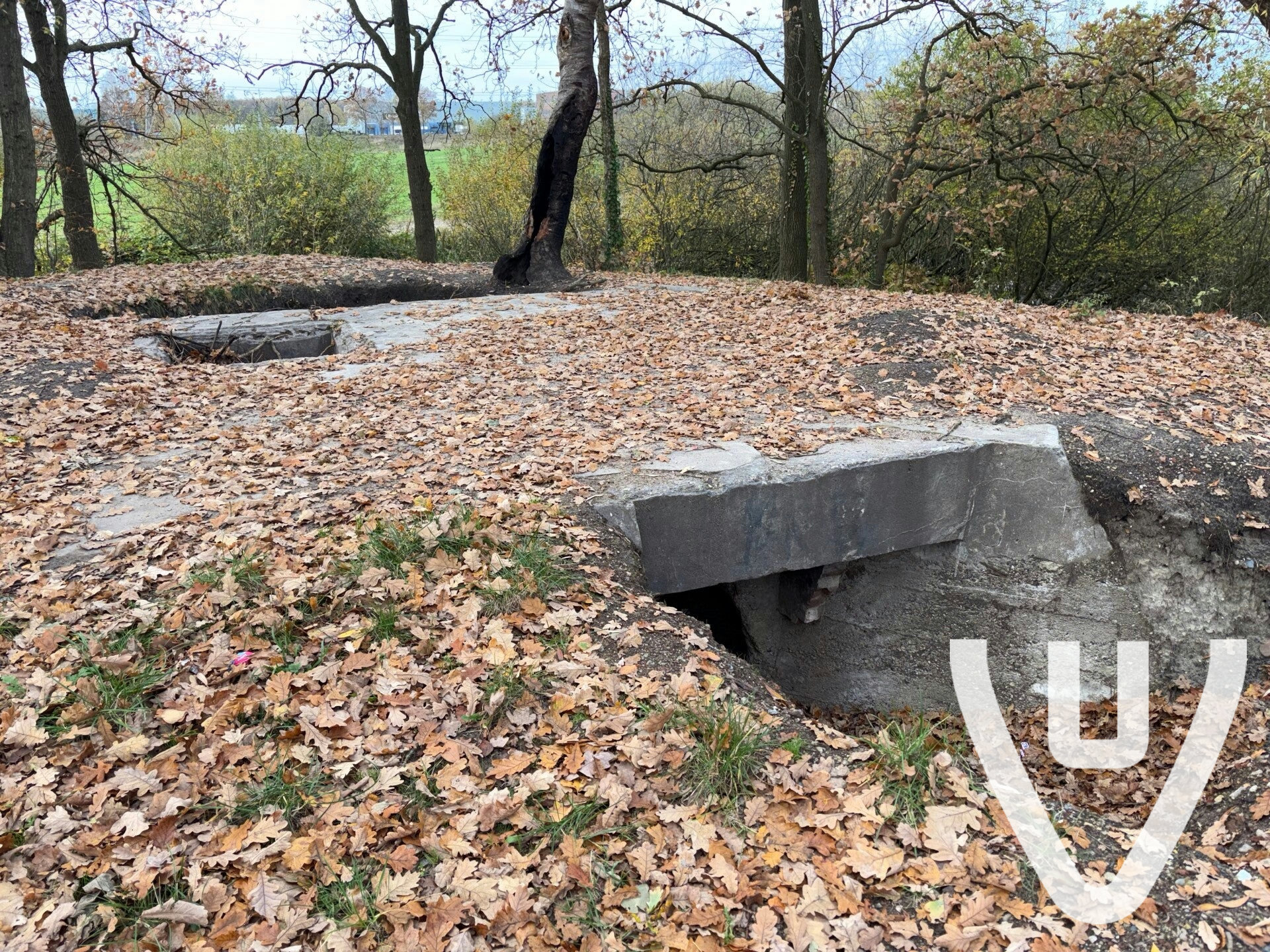 Community photo of De Vergeten Bunker in Netherlands by Dutch Hunting NL - Photo 3