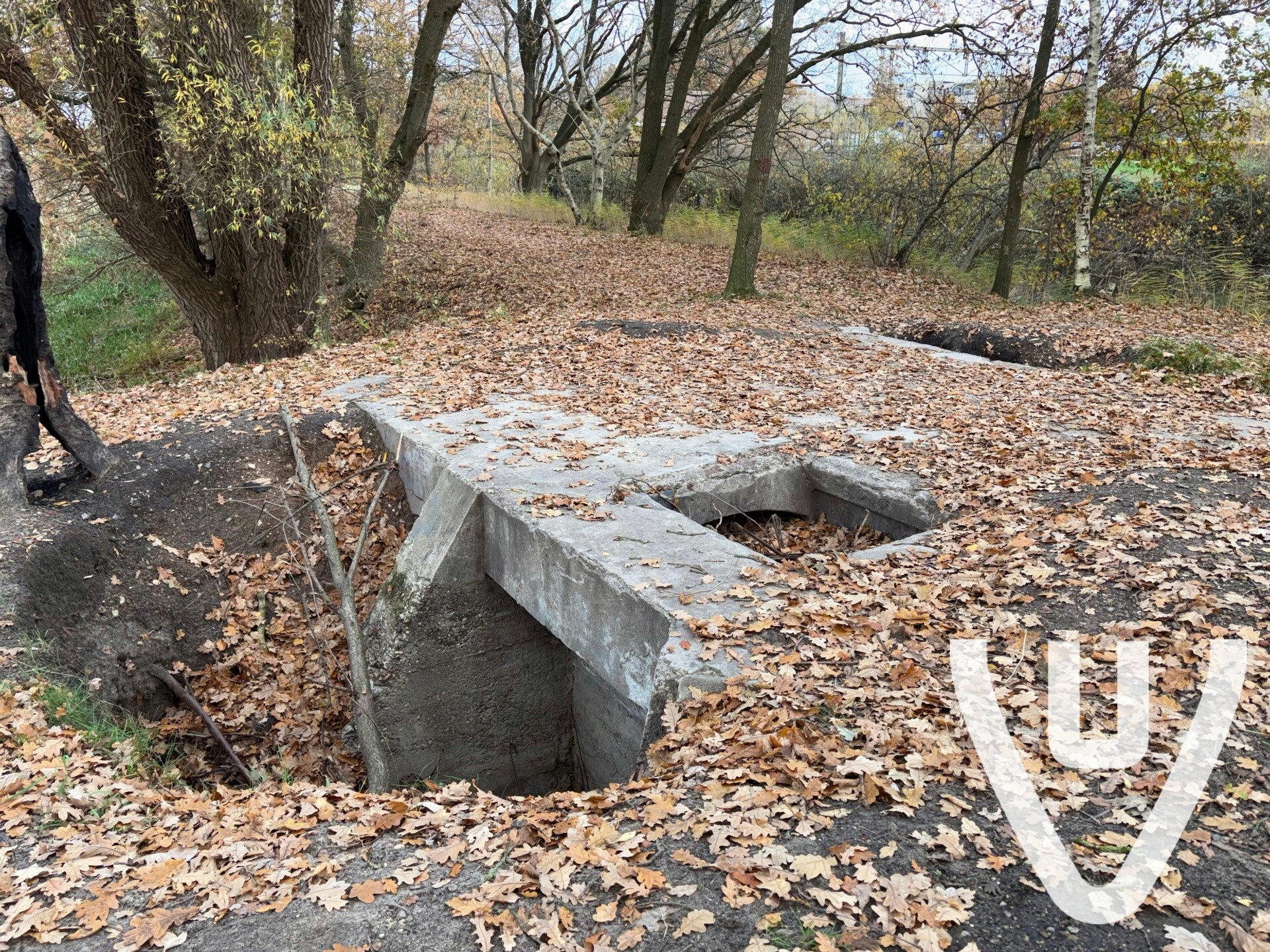 Community photo of De Vergeten Bunker in Netherlands by Dutch Hunting NL - Photo 4