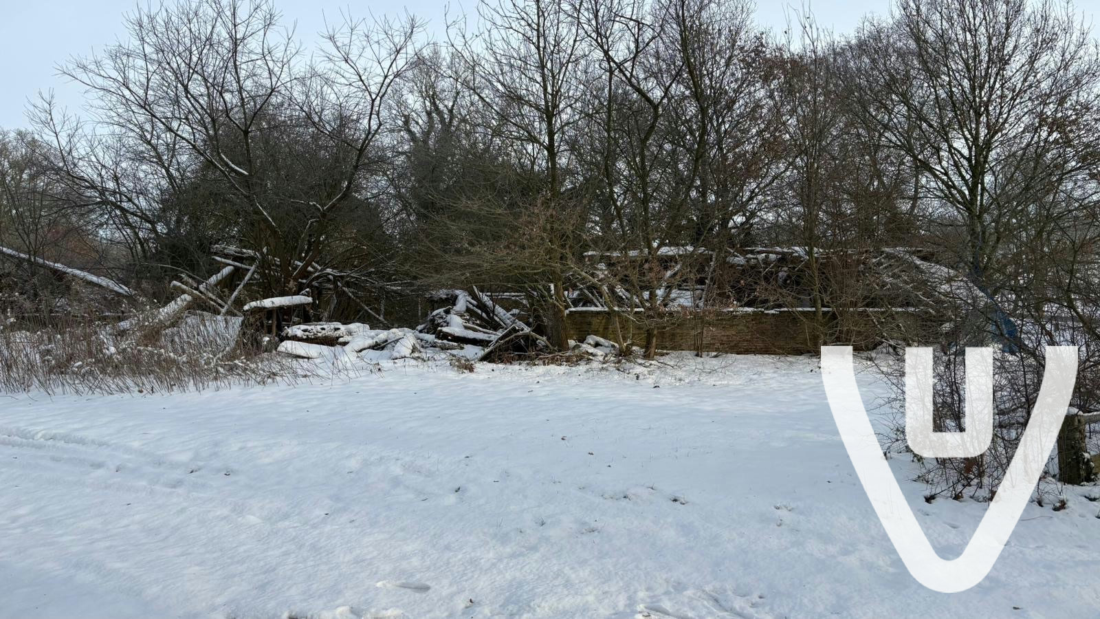 Community photo of Huize Beiler in Netherlands by Dutch Hunting NL - Photo 2