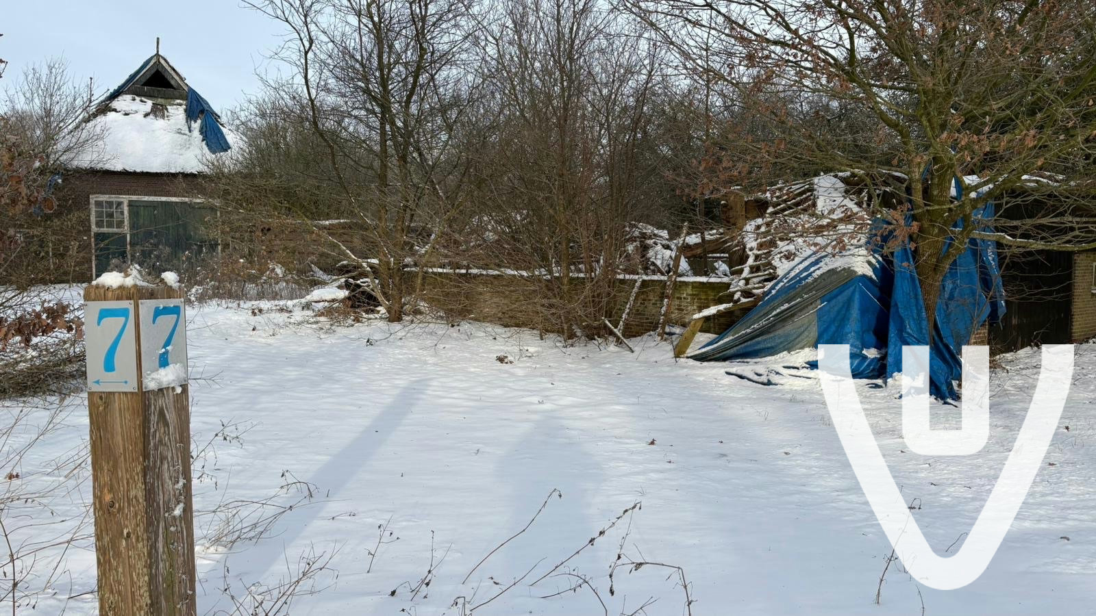 Community photo of Huize Beiler in Netherlands by Dutch Hunting NL - Photo 4