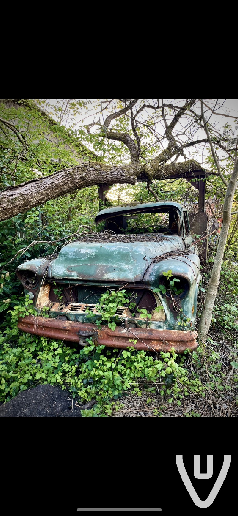 Magnifique ⭐️⭐️