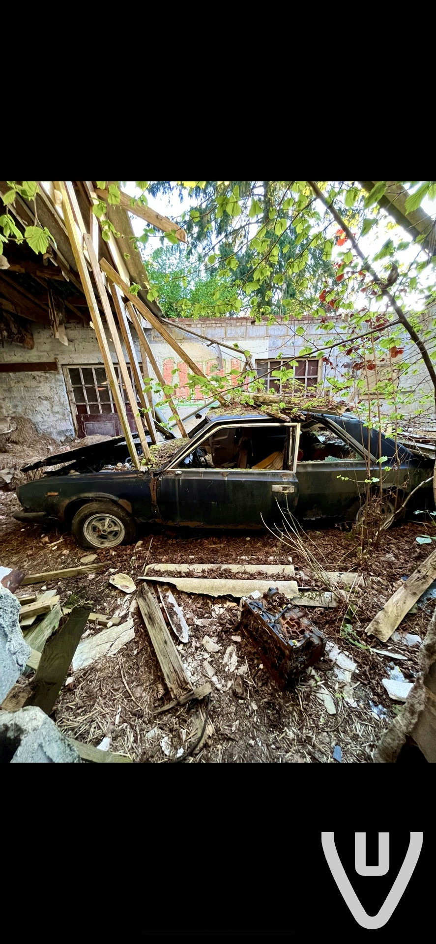 Magnifique ⭐️⭐️