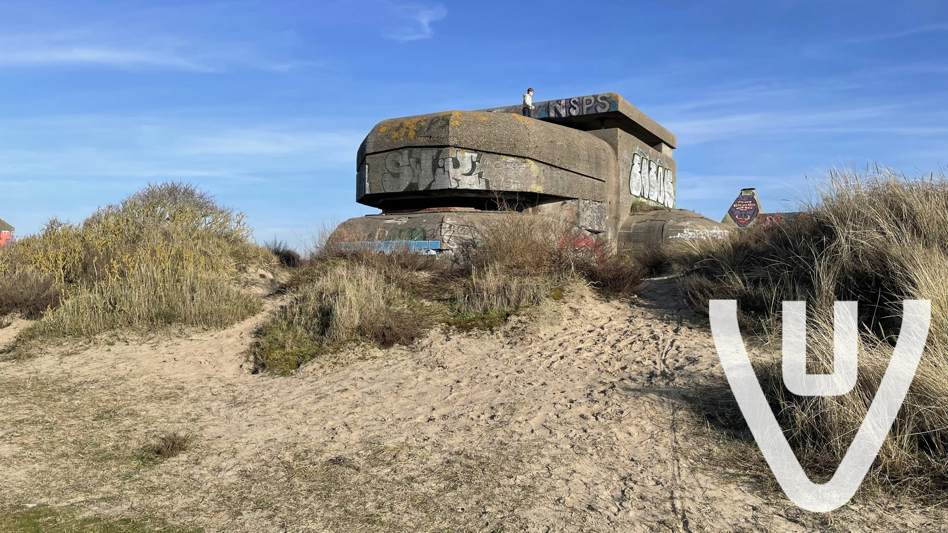 The Bunker Collection