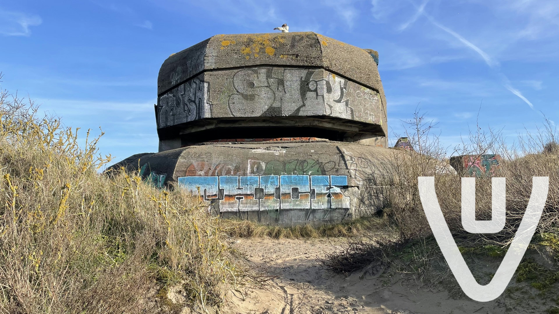 Community photo of The Bunker Collection in Netherlands by Dutch Hunting NL - Photo 6