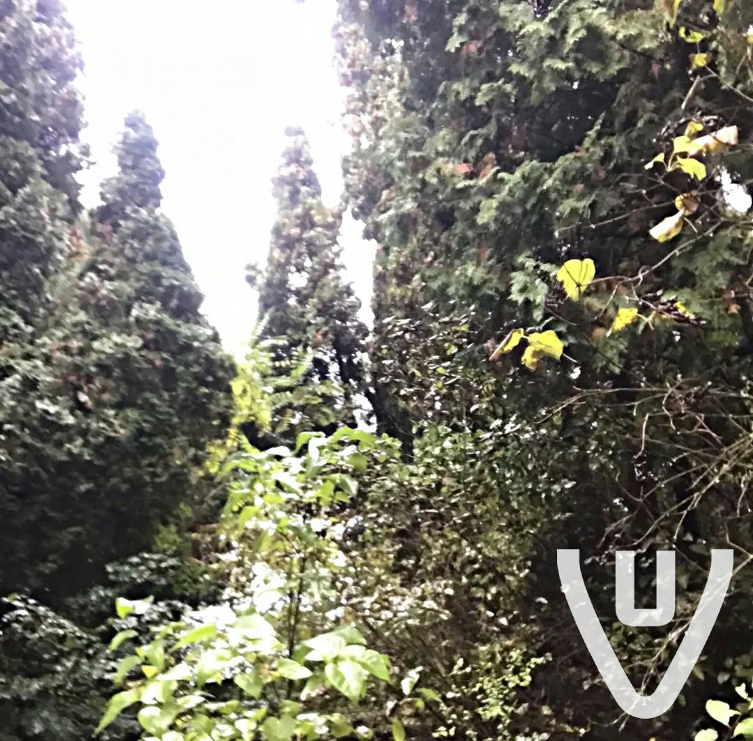 Community photo of Woodcutting Factory in Slovakia by BuboBubo231: Kitchen, Storage, Main hall and Stairs to the building