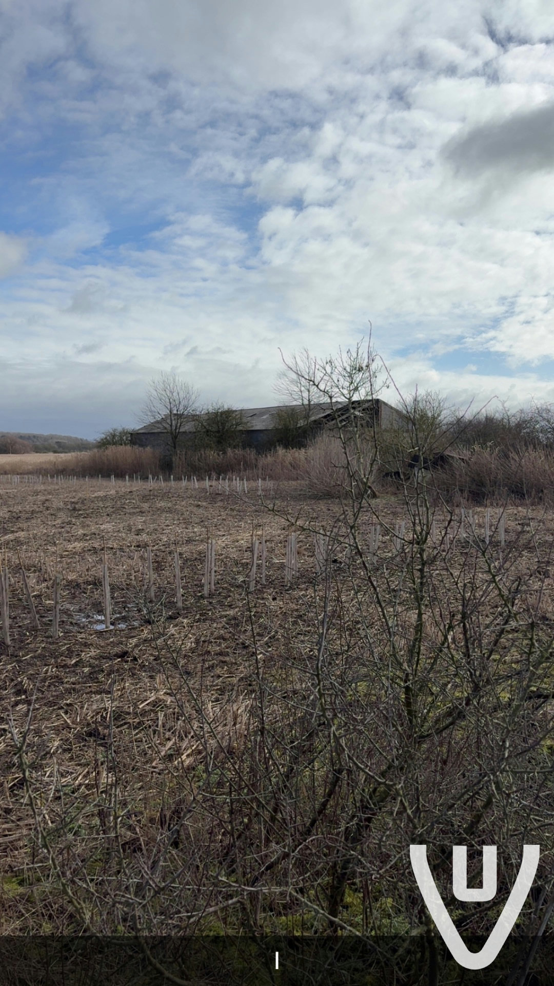 Community photo of The Westrum Barn in United Kingdom by Harvey12345: Not much going on here