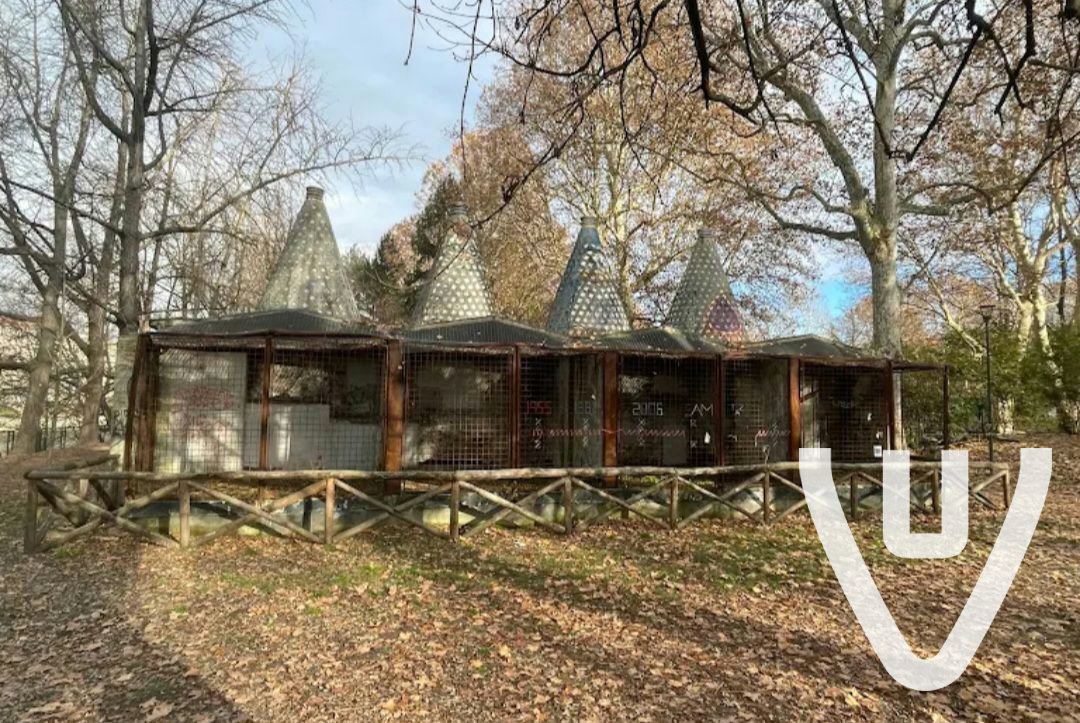 Community photo of The Zoo Parc in Italy by anonymous contributor - Photo 5