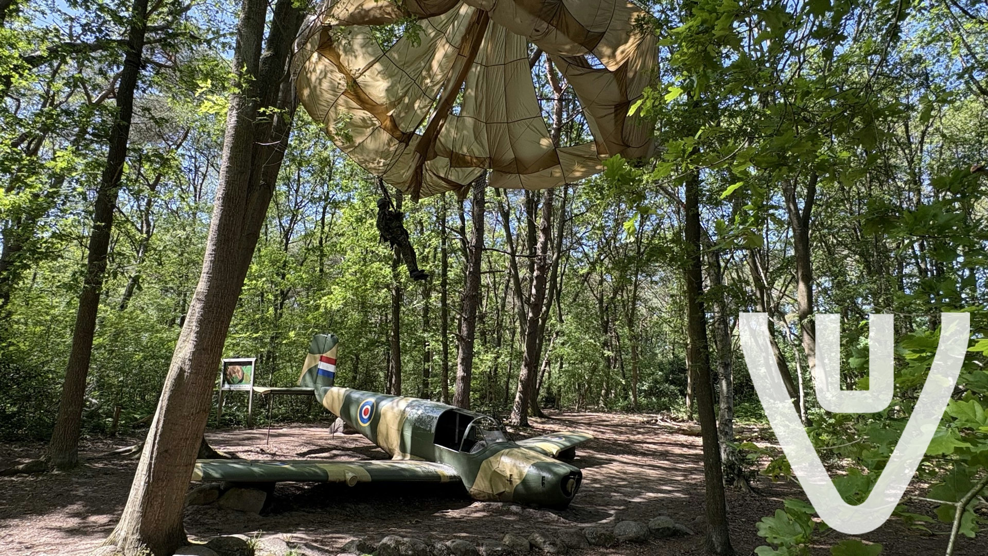 Lost Wood Plane