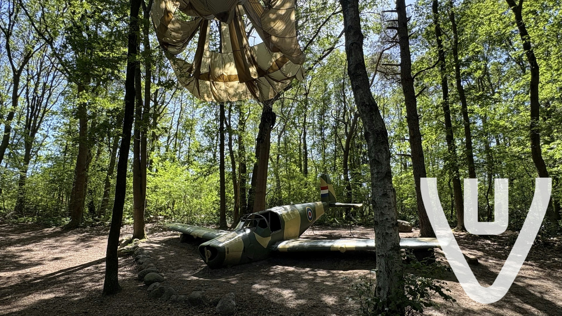 Lost Wood Plane