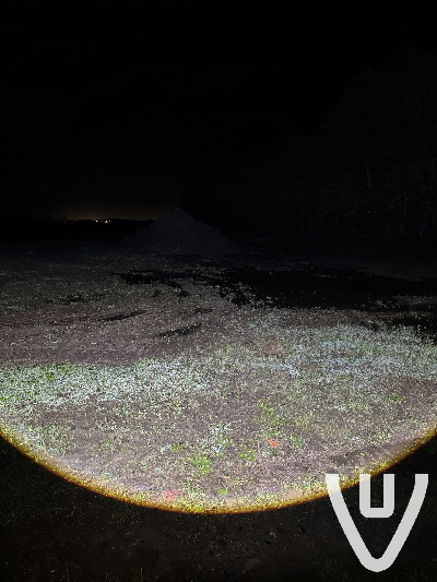 Location report evidence