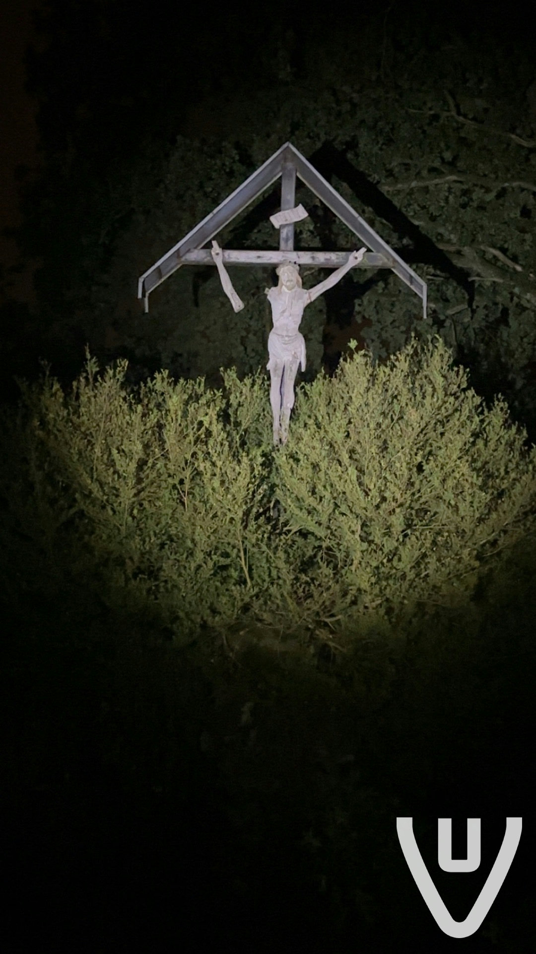 Cemetery of the Insane