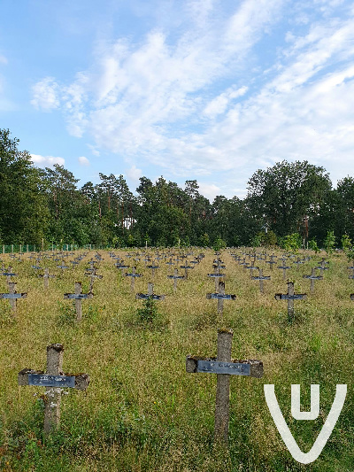 Cemetery of the Insane