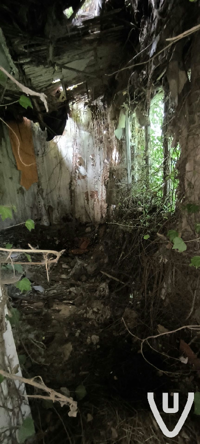Suicide House