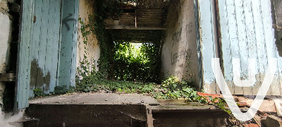 Suicide House