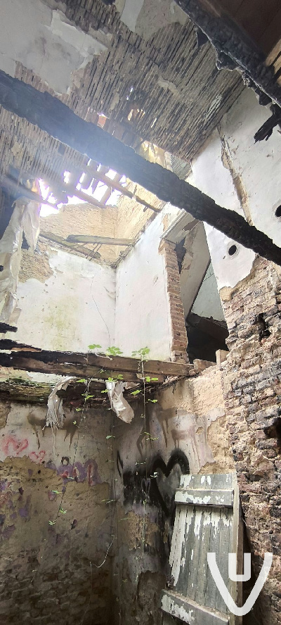 Suicide House