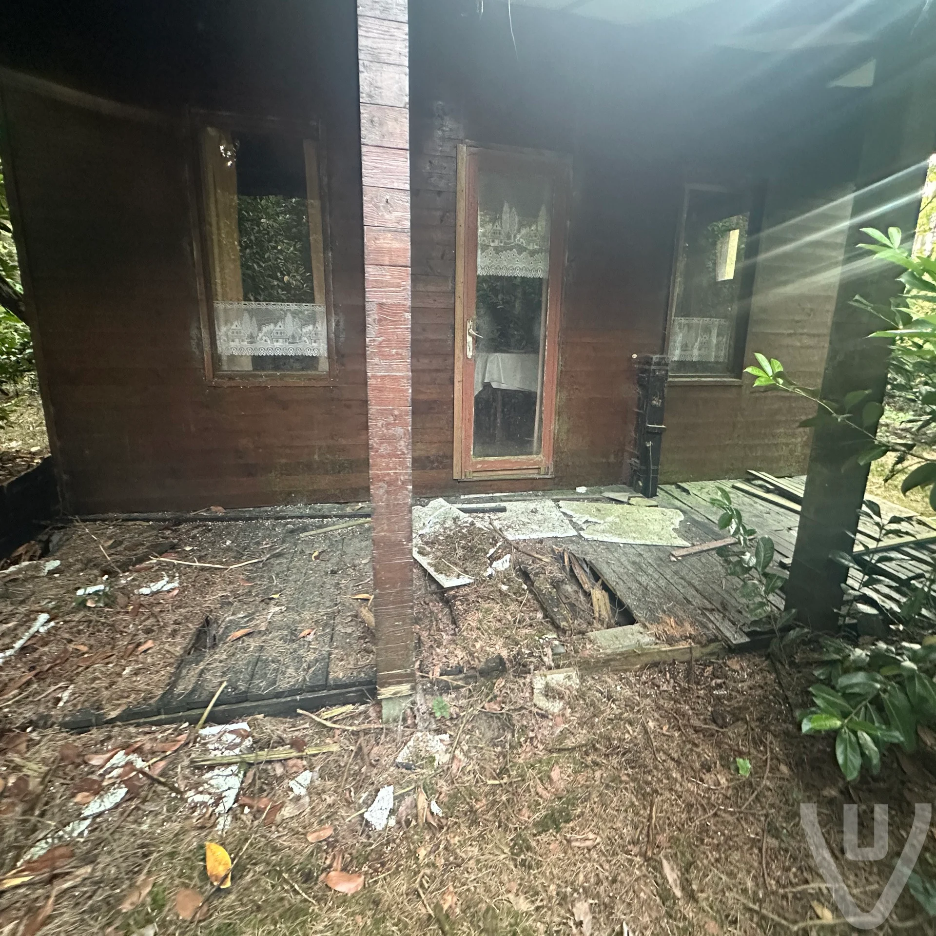 Chalet White Spiders