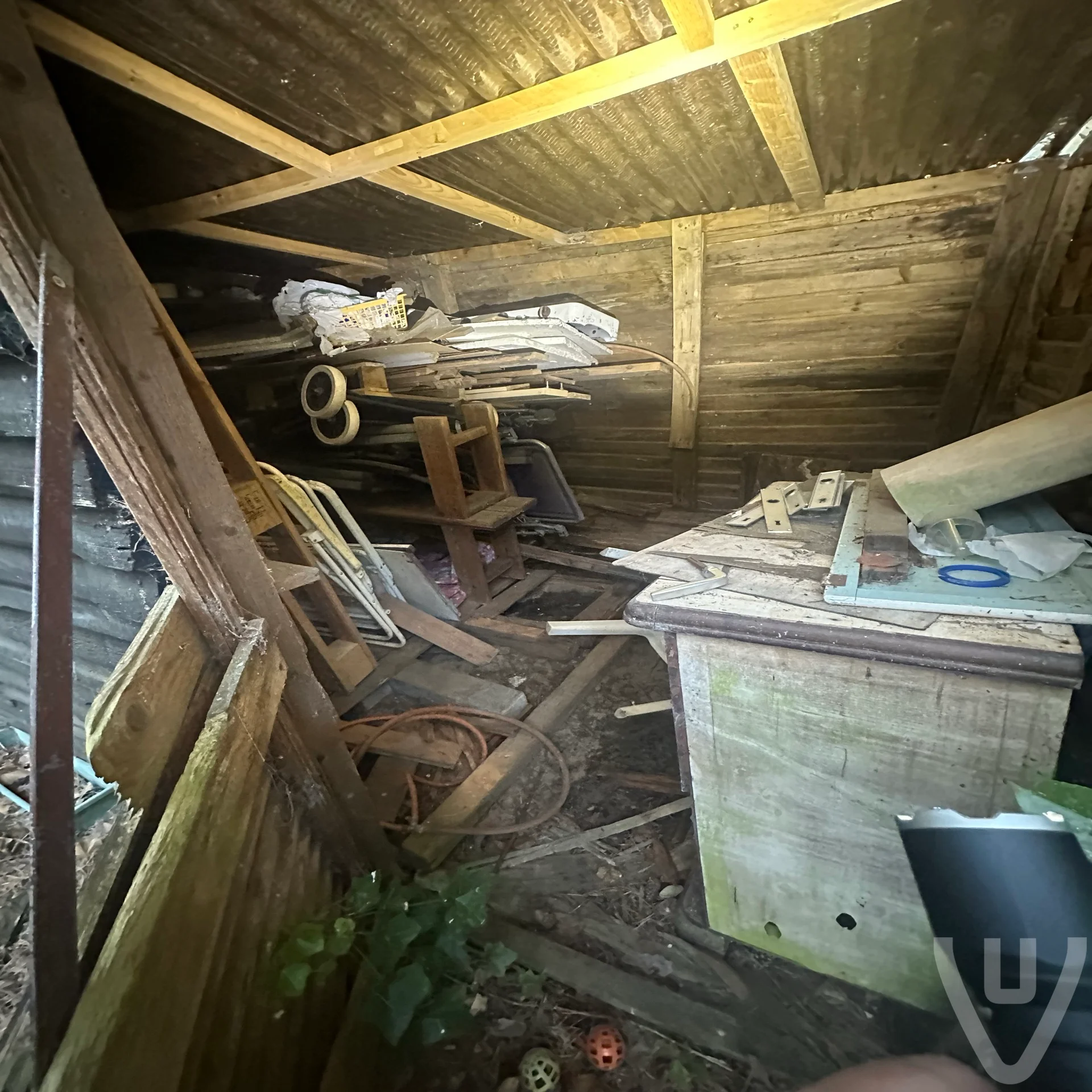 Chalet White Spiders