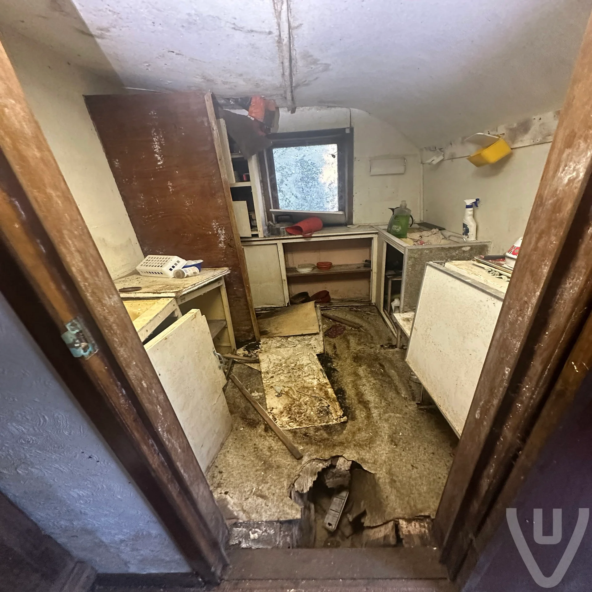 Chalet White Spiders