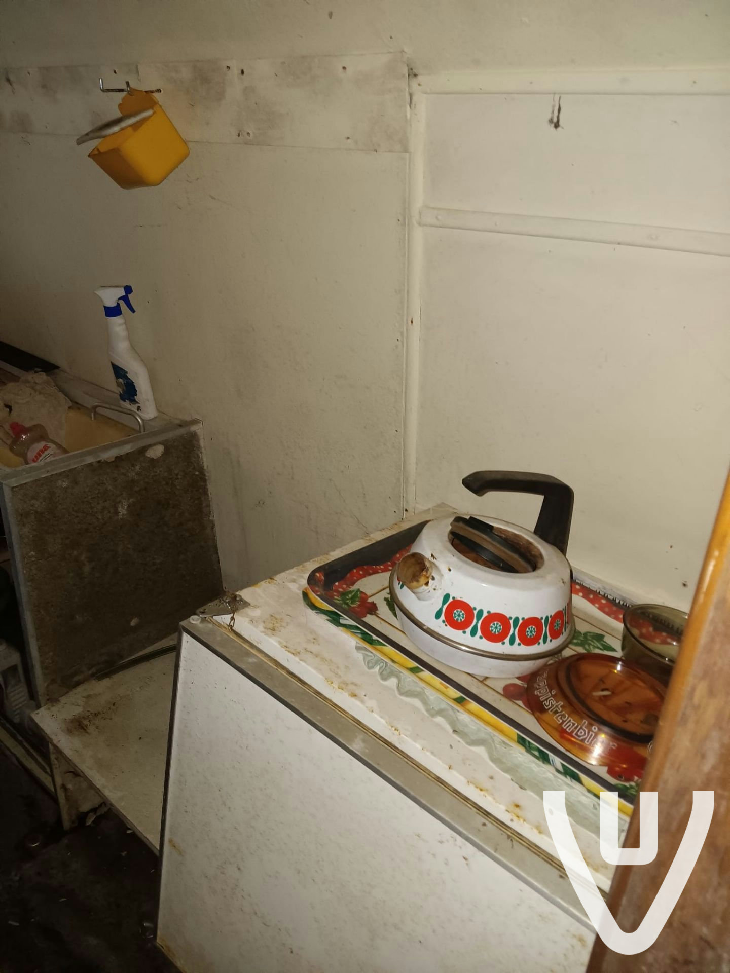 Chalet White Spiders