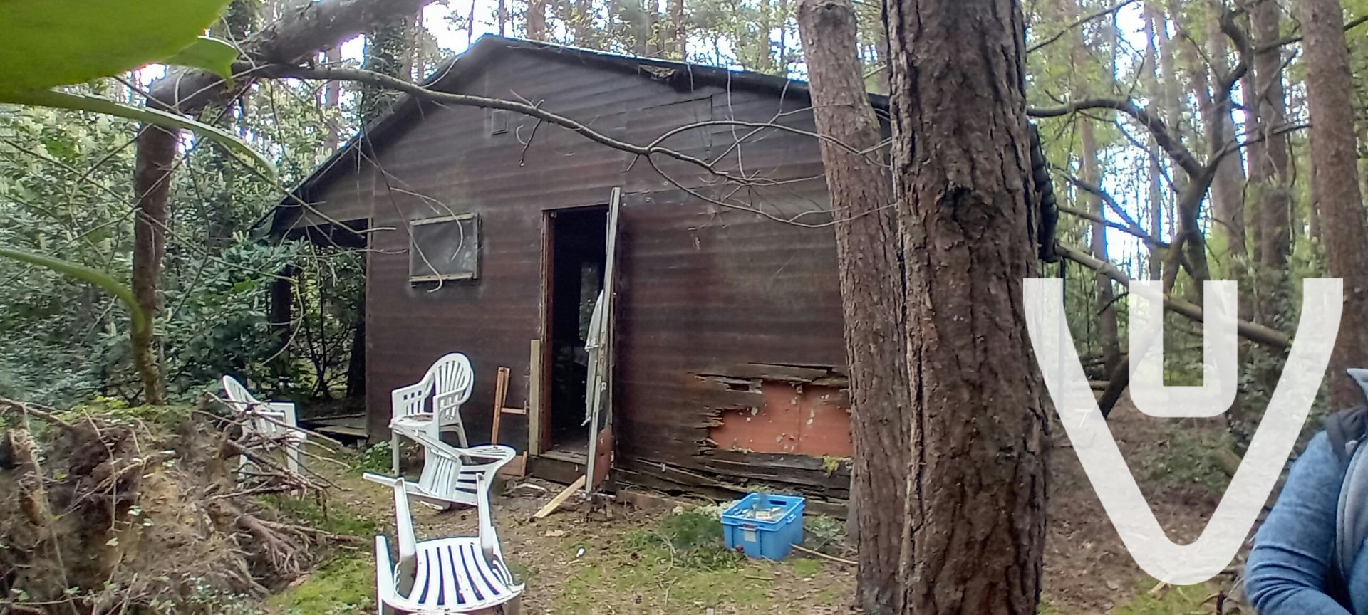 Chalet White Spiders