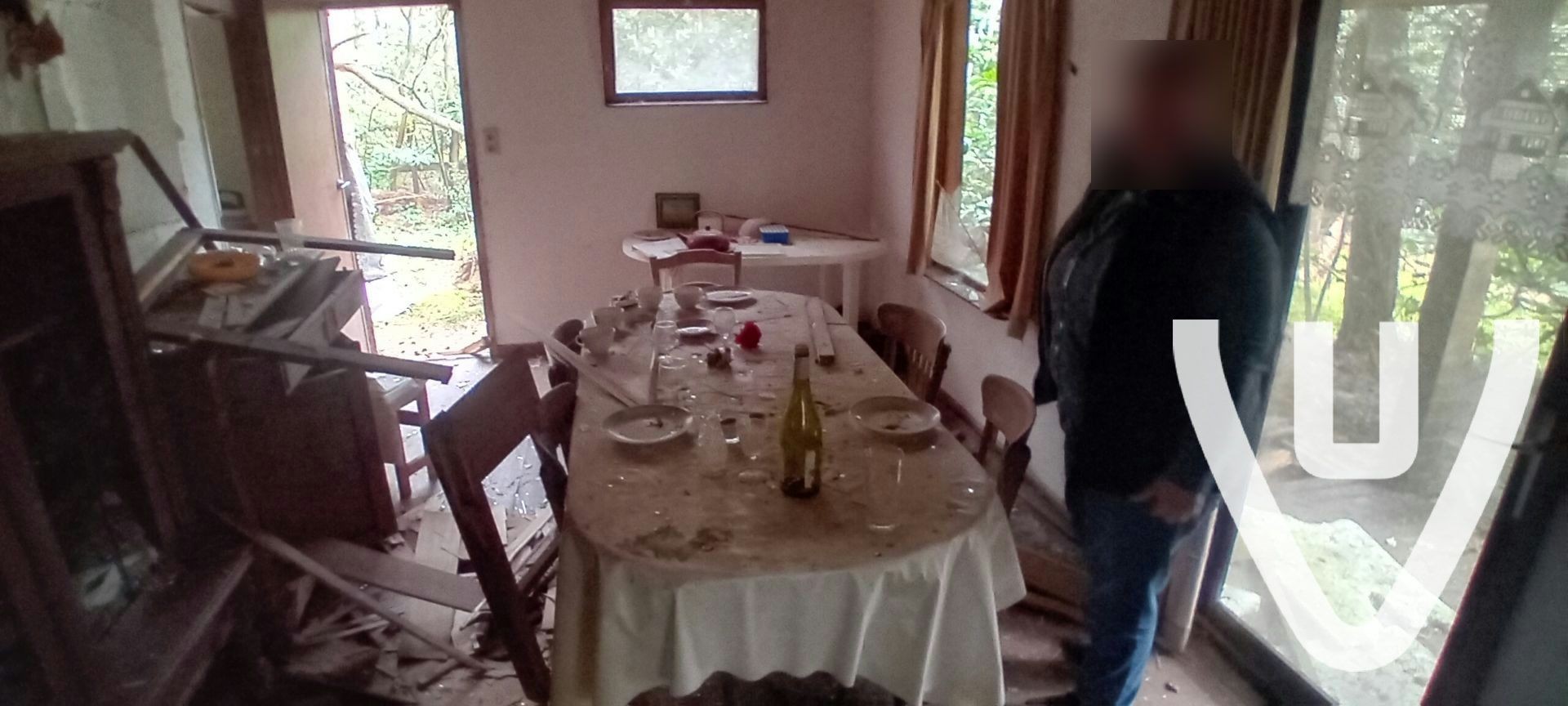 Chalet White Spiders