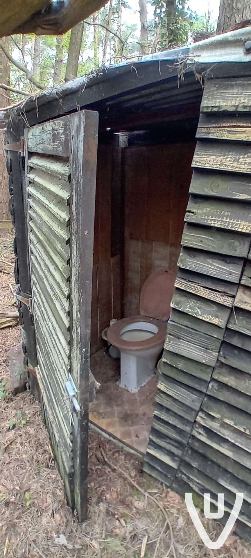 Chalet White Spiders