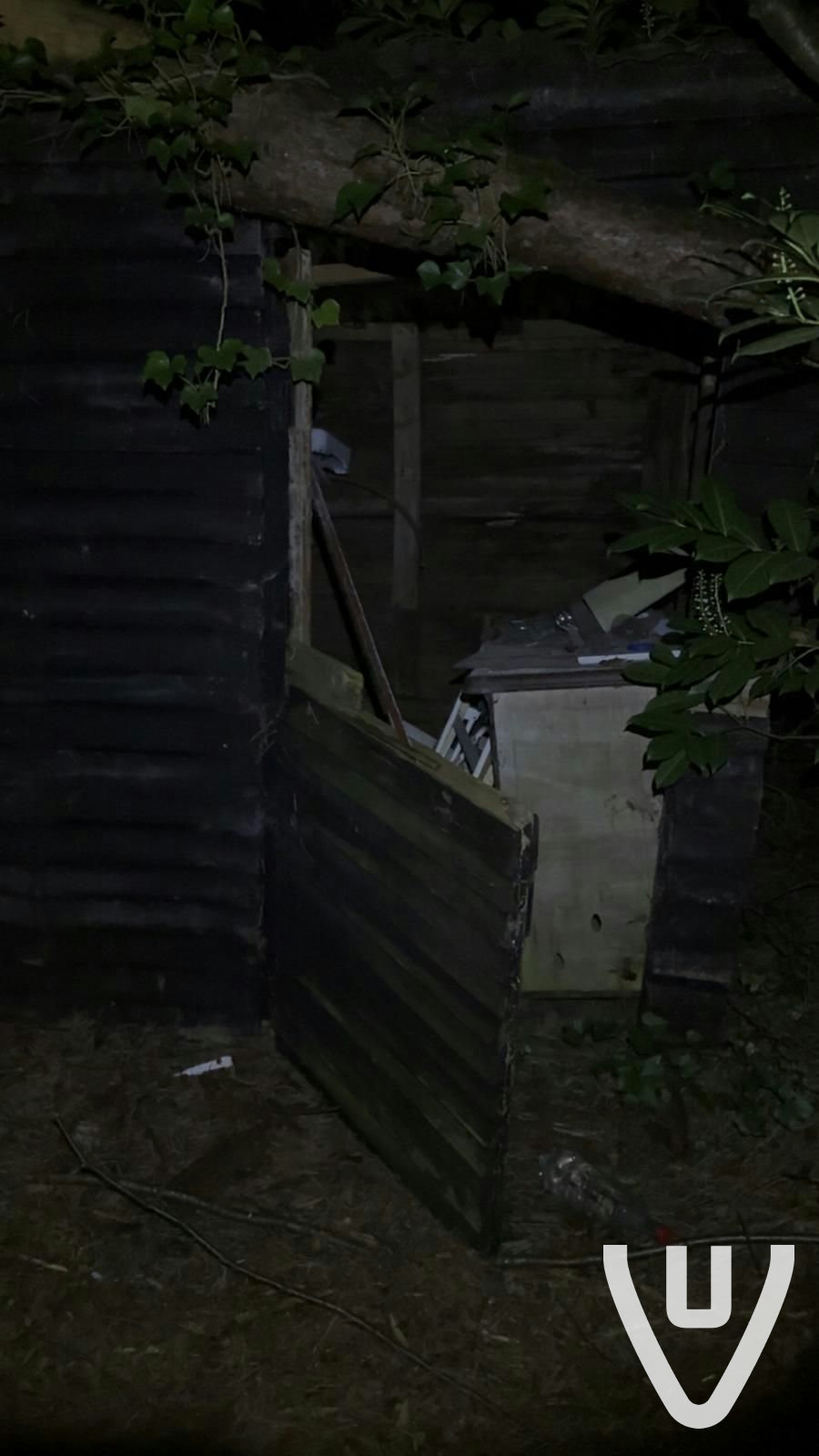 Chalet White Spiders