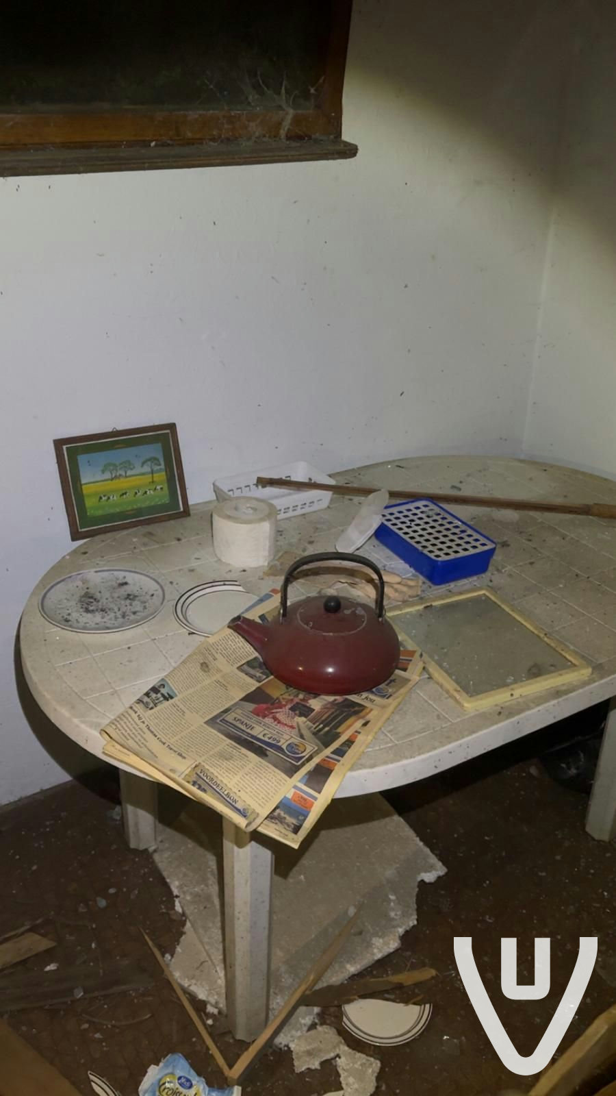 Chalet White Spiders