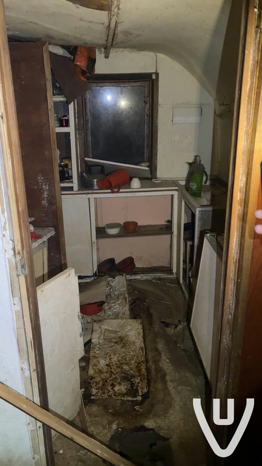 Chalet White Spiders