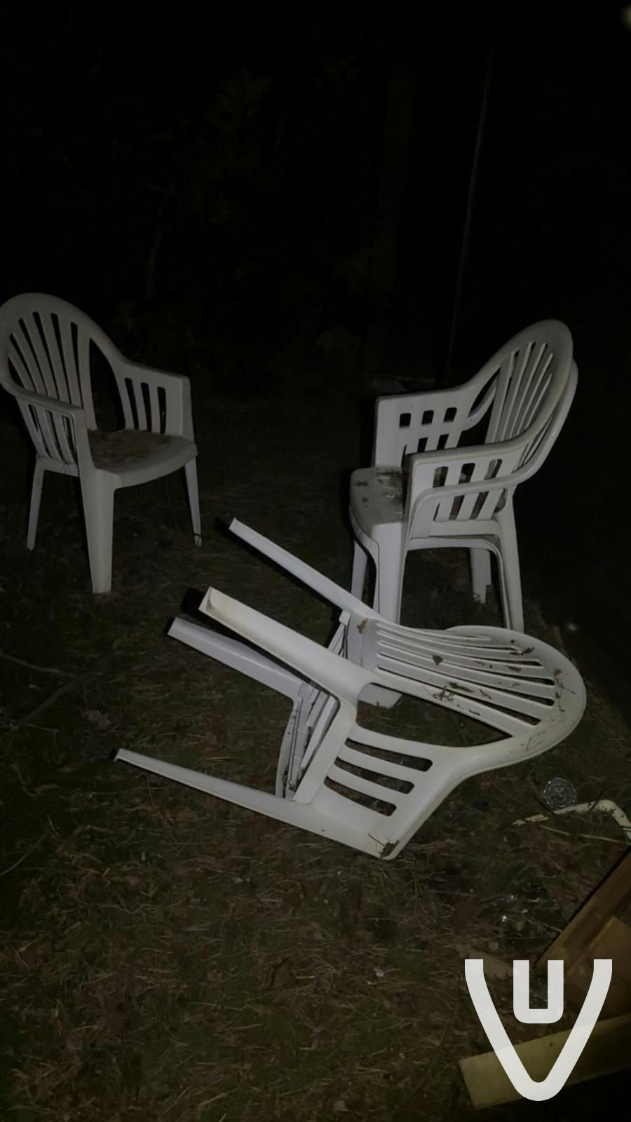 Chalet White Spiders