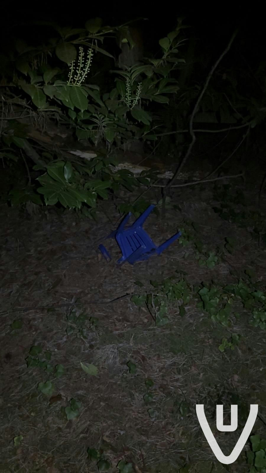 Chalet White Spiders