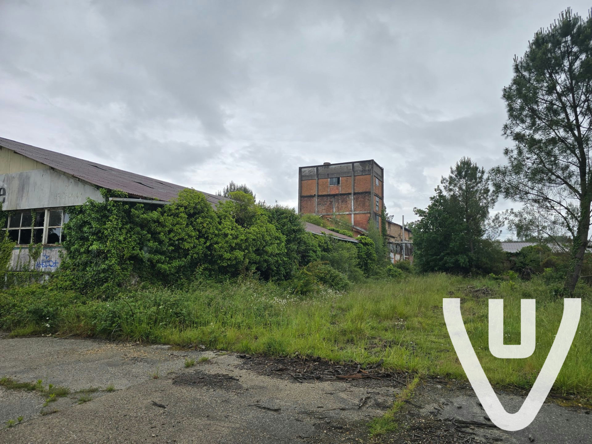 Usine Renault