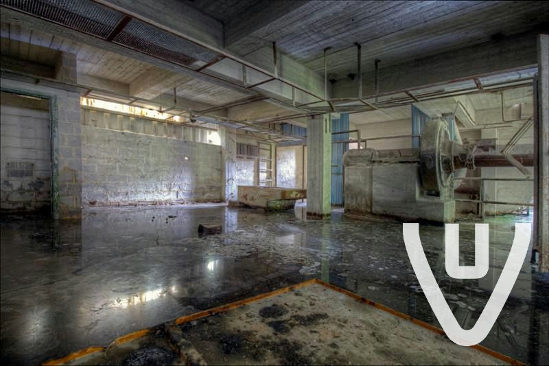 Pinokkio / The Limestone Factory