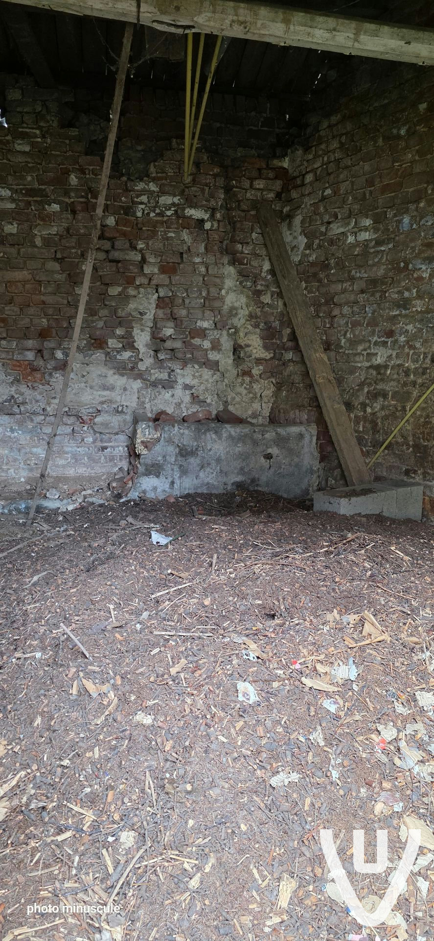 Location report evidence