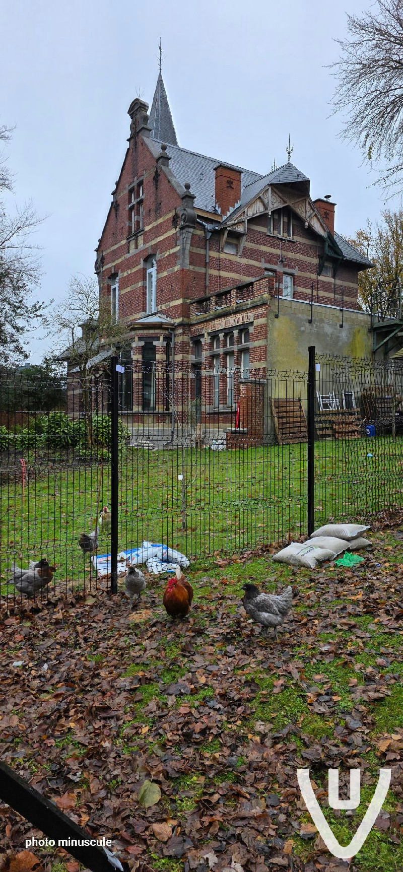 Location report evidence