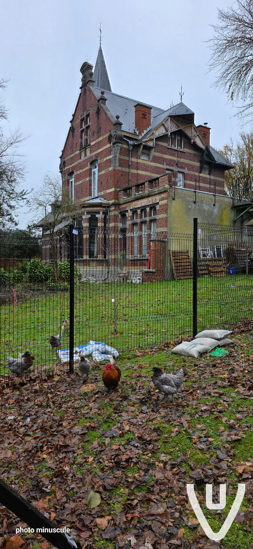 Location report evidence