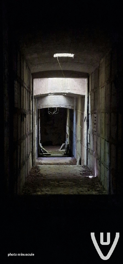 Tomb Raider